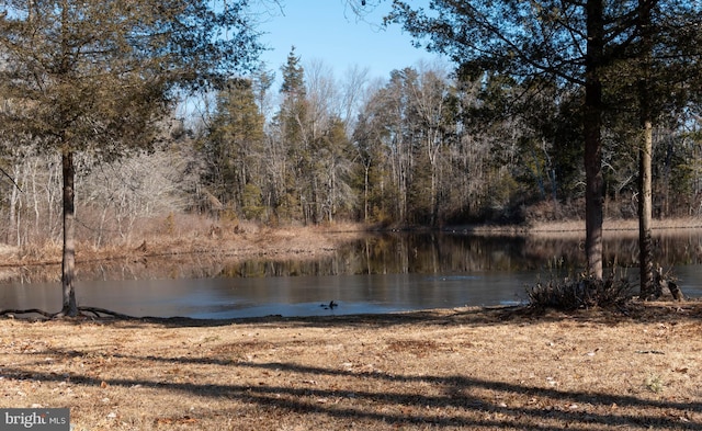 property view of water featuring a wooded view