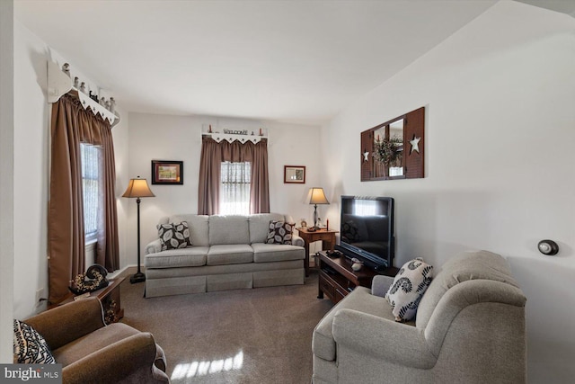 802 E 11th Ave, York, PA 17402 - living area featuring carpet flooring