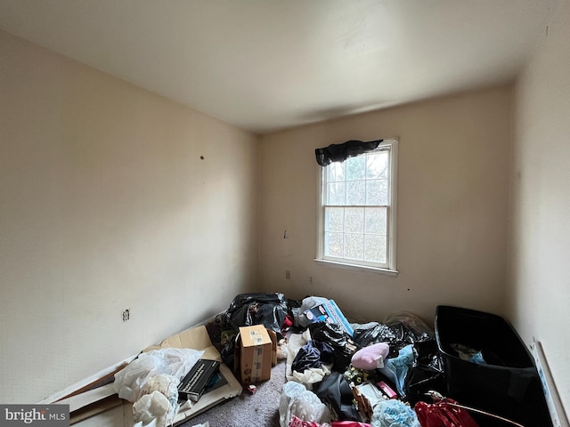 bedroom featuring carpet flooring