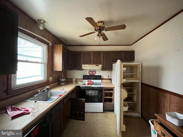 kitchen featuring electric stove, a sink, under cabinet range hood, wooden walls, and wainscoting