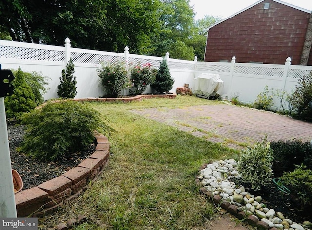 view of yard with a patio and a fenced backyard