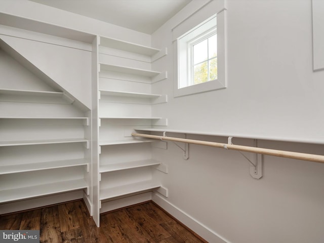 spacious closet featuring dark wood-style flooring