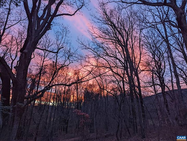 view of nature with a forest view