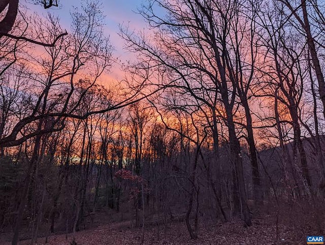 view of nature at dusk