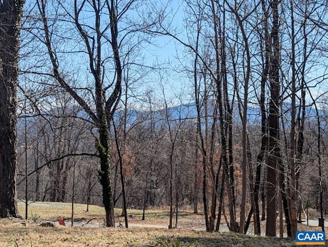 property view of mountains featuring a wooded view