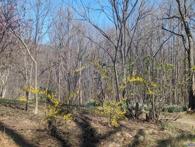 view of nature featuring a forest view