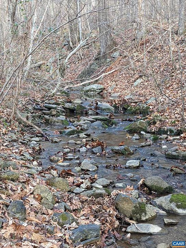 view of local wilderness