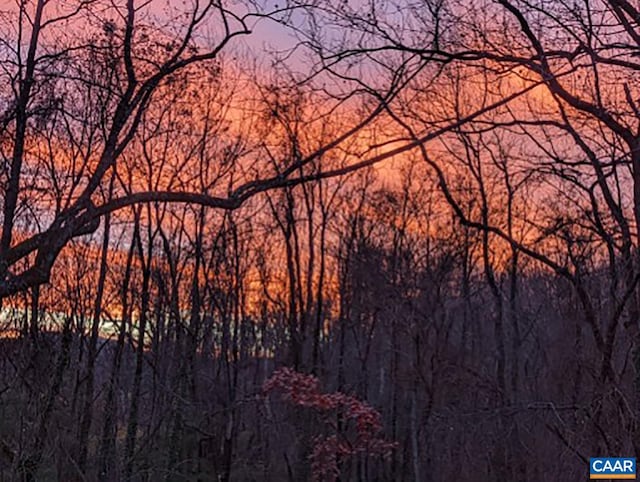 nature at dusk with a wooded view