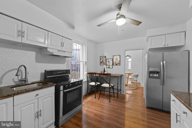 kitchen with under cabinet range hood, a sink, wood finished floors, appliances with stainless steel finishes, and decorative backsplash