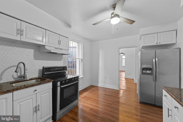 kitchen featuring wood finished floors, a sink, under cabinet range hood, appliances with stainless steel finishes, and tasteful backsplash