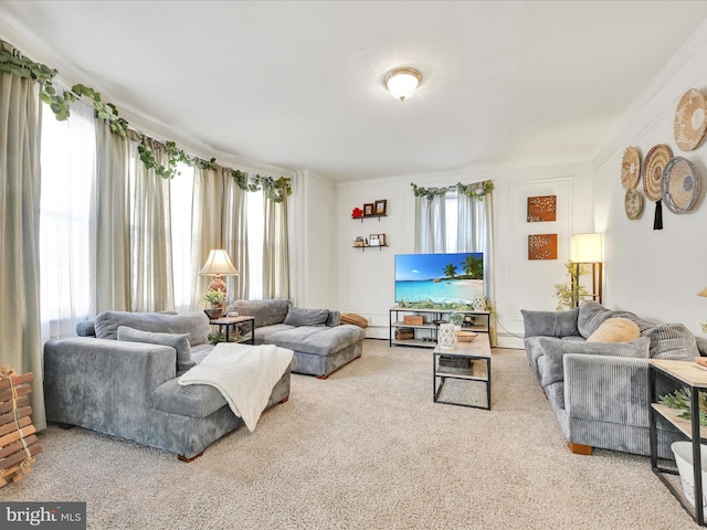 carpeted living room featuring a baseboard heating unit and a wealth of natural light