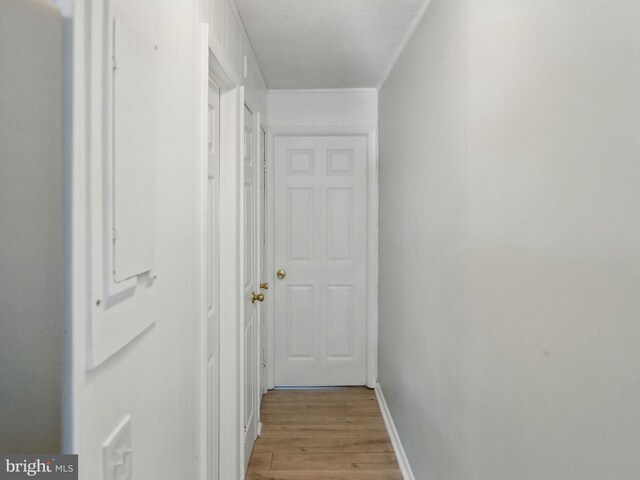 hallway with light wood finished floors, baseboards, and ornamental molding