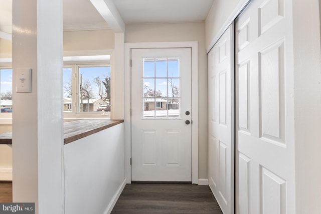 doorway featuring dark wood-style floors, baseboards, and a wealth of natural light