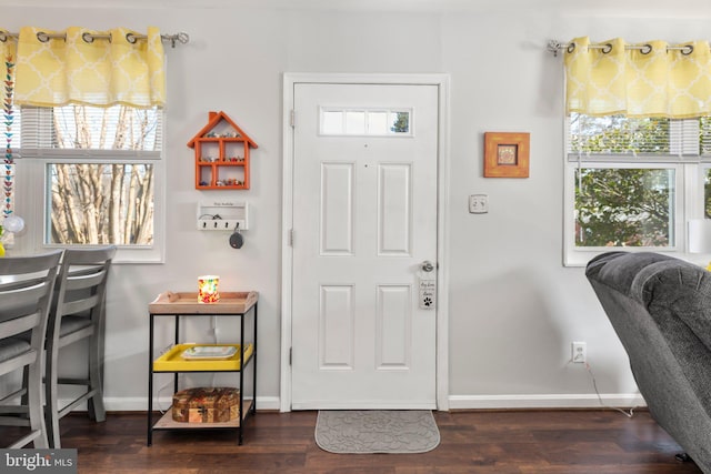 foyer featuring a healthy amount of sunlight and dark wood-style flooring