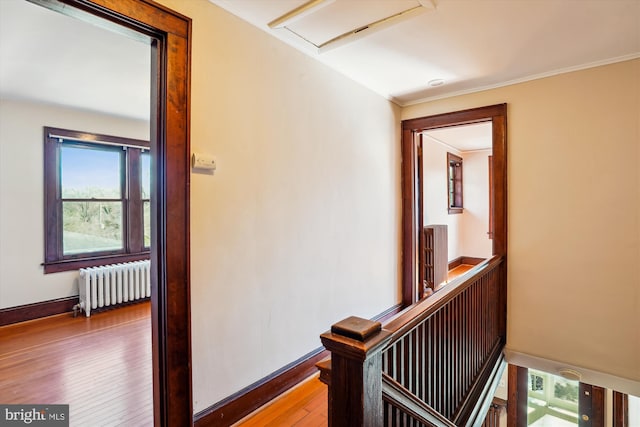 corridor featuring baseboards, wood-type flooring, radiator, and attic access