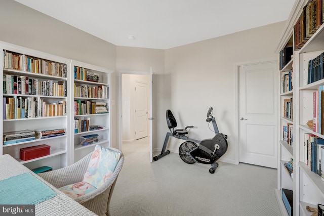 exercise area featuring carpet flooring and baseboards