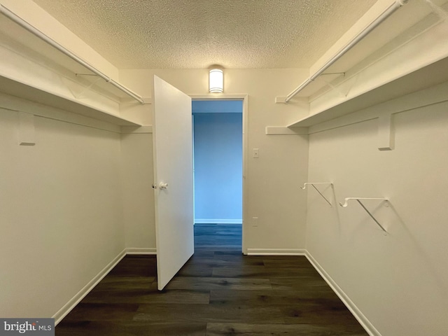 spacious closet featuring dark wood-type flooring