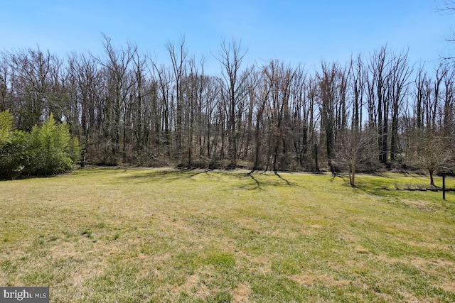 view of yard with a forest view