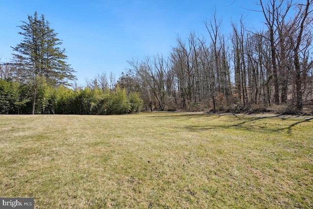 view of yard featuring a wooded view