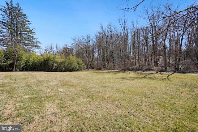 view of yard featuring a forest view