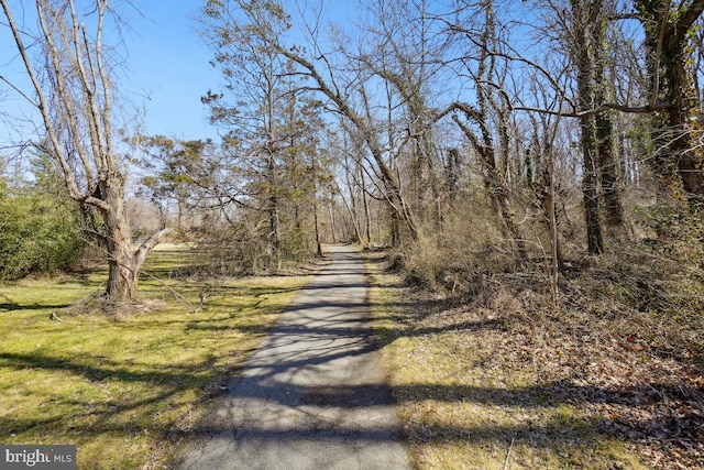 view of road