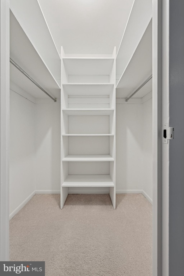 walk in closet featuring carpet