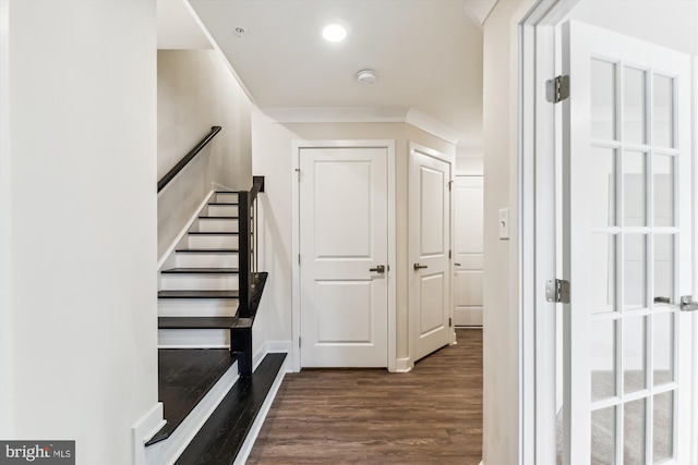 staircase featuring wood finished floors