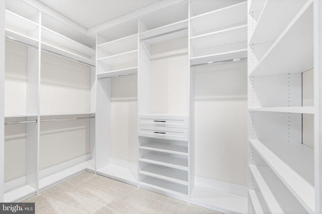 spacious closet featuring light carpet