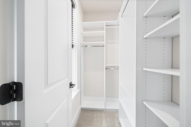 walk in closet featuring light carpet