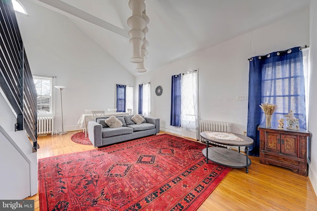 living area featuring plenty of natural light, radiator, and wood finished floors