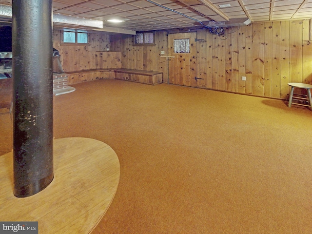 below grade area with a paneled ceiling, carpet, and wooden walls