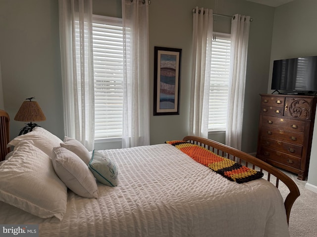 carpeted bedroom featuring multiple windows