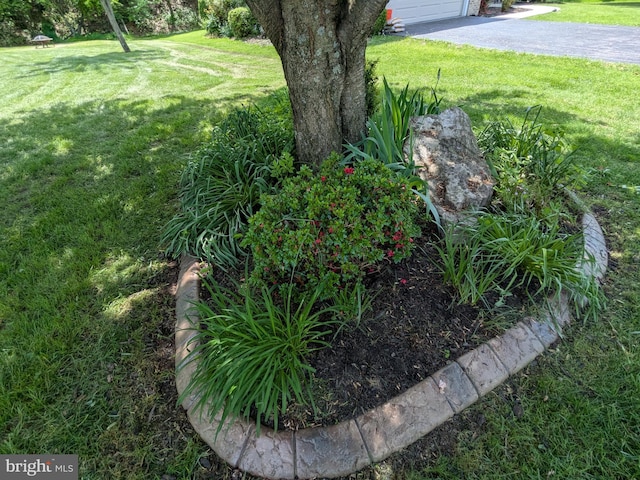 2308 Cypress Dr, Harrisburg, PA 17110 - view of green lawn with asphalt driveway and a garage