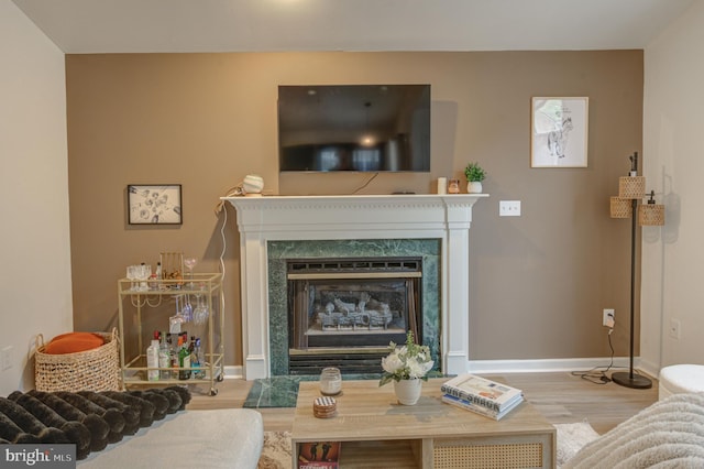 living room featuring wood finished floors, a fireplace, and baseboards