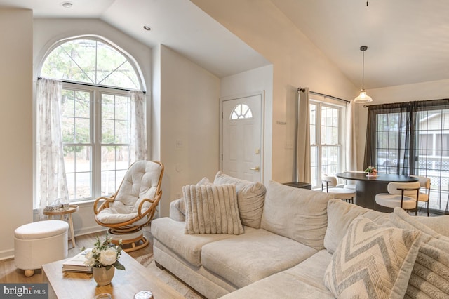 living room featuring wood finished floors and vaulted ceiling