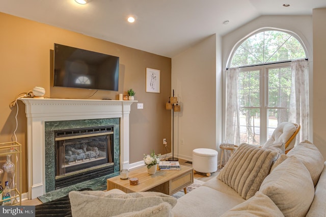 living area featuring a premium fireplace, baseboards, wood finished floors, and vaulted ceiling