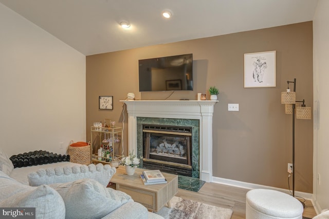 living room featuring baseboards, wood finished floors, and a fireplace