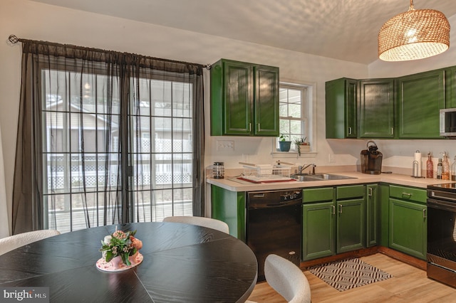 kitchen with green cabinets, light countertops, black dishwasher, and a sink