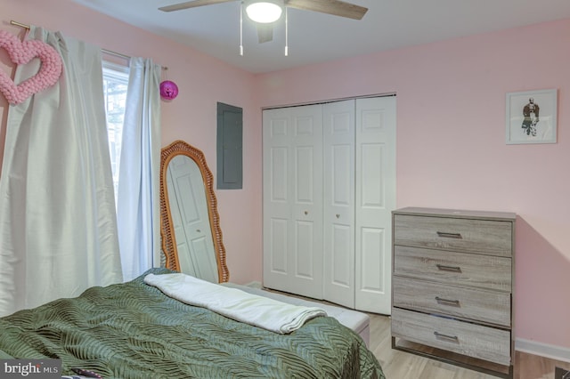 bedroom with electric panel, a closet, light wood-style flooring, and a ceiling fan