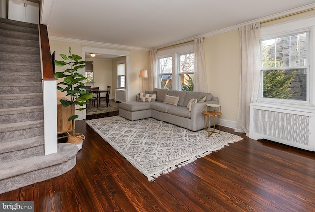 living area with radiator, baseboards, stairway, ornamental molding, and wood finished floors