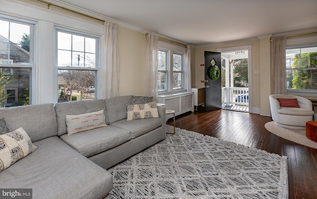 living room with a wealth of natural light, ornamental molding, radiator heating unit, and wood-type flooring