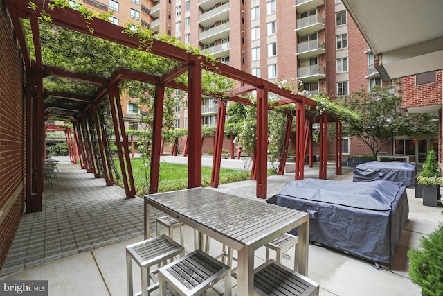 view of patio / terrace with grilling area and a pergola