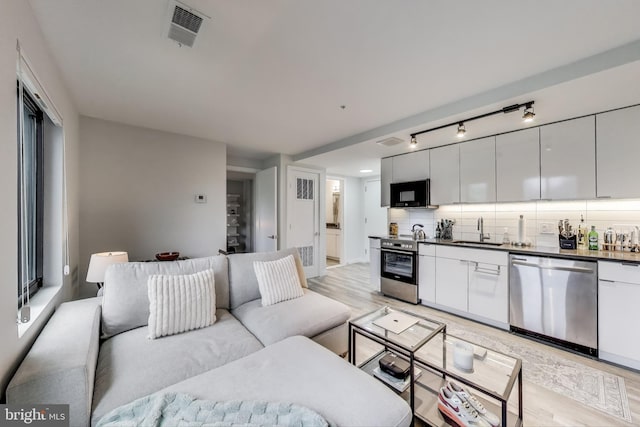 700 Roeder Rd Unit 402, Silver Spring, MD 20910 - living area featuring light wood-style floors and track lighting