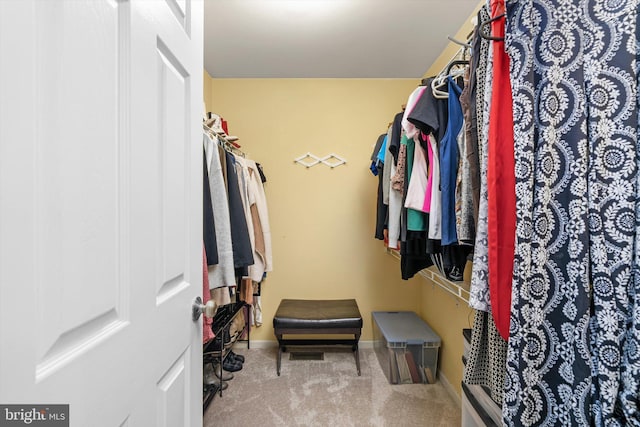 walk in closet with carpet flooring