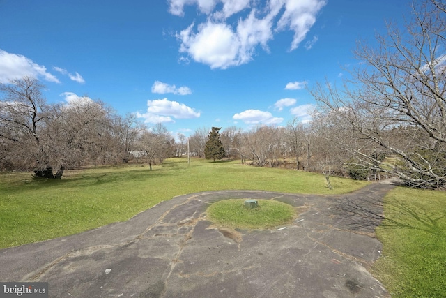 view of property's community with a yard