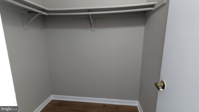 walk in closet with wood finished floors