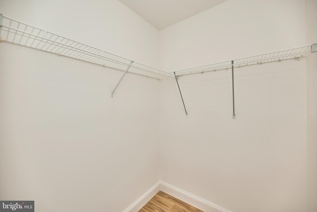 walk in closet with light wood-type flooring