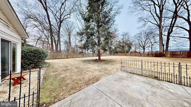 view of yard with a fenced backyard and a patio area