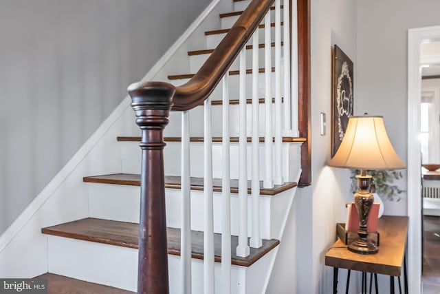 1175 Letort Rd, Conestoga, PA 17516 - view of stairs