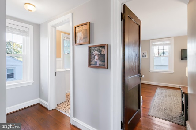 1175 Letort Rd, Conestoga, PA 17516 - hallway with dark wood-style floors, healthy amount of natural light, and baseboards
